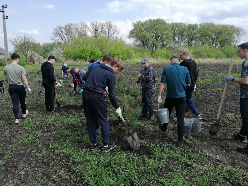 Пролетарский в курском районе