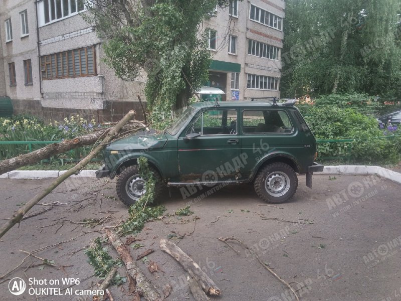 Где в курчатове можно распечатать с флешки