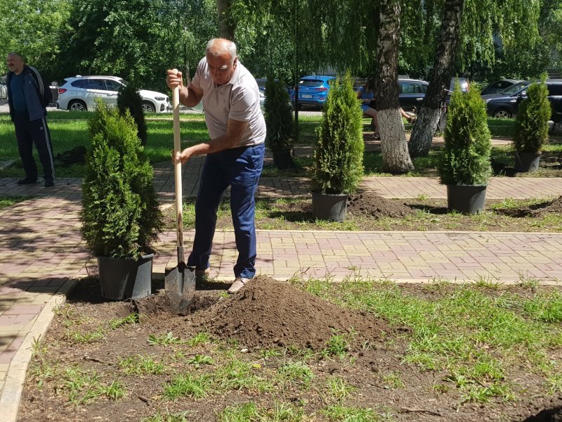 В берестов посадили игрушку на полку