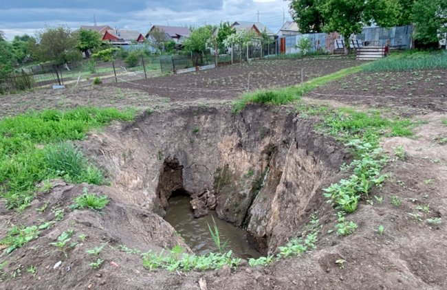 Копи фото курская