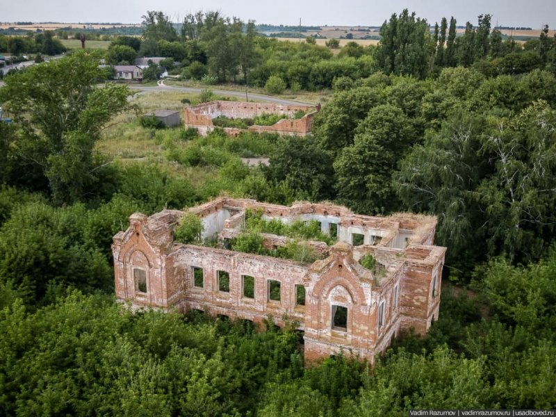 Заповедник имени алехина в курской области презентация