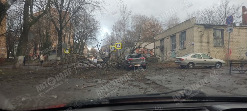 Проститутки курск в авто