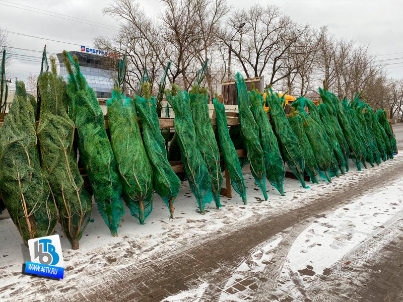 Курск 15 декабря новости