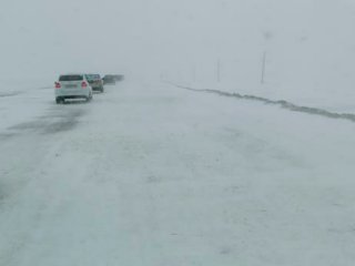 между Суджанским кольцом и Журавлино