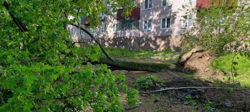 Отопление на кзтз в курске когда включат