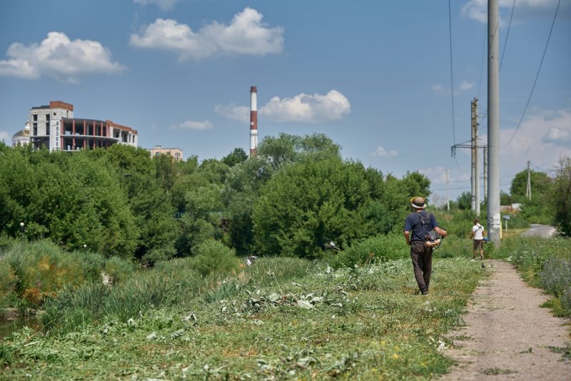 Утиный остров курск фото