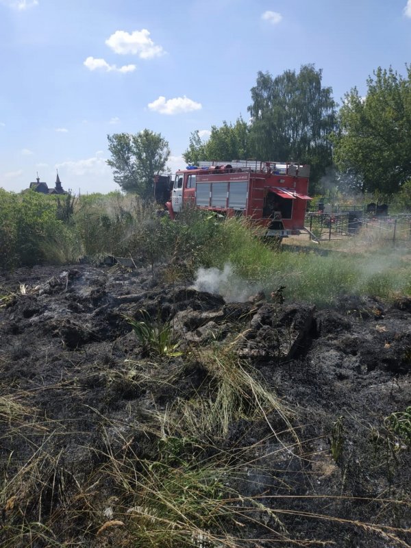 Фото Сгоревшего Мусора На Открытой Территории