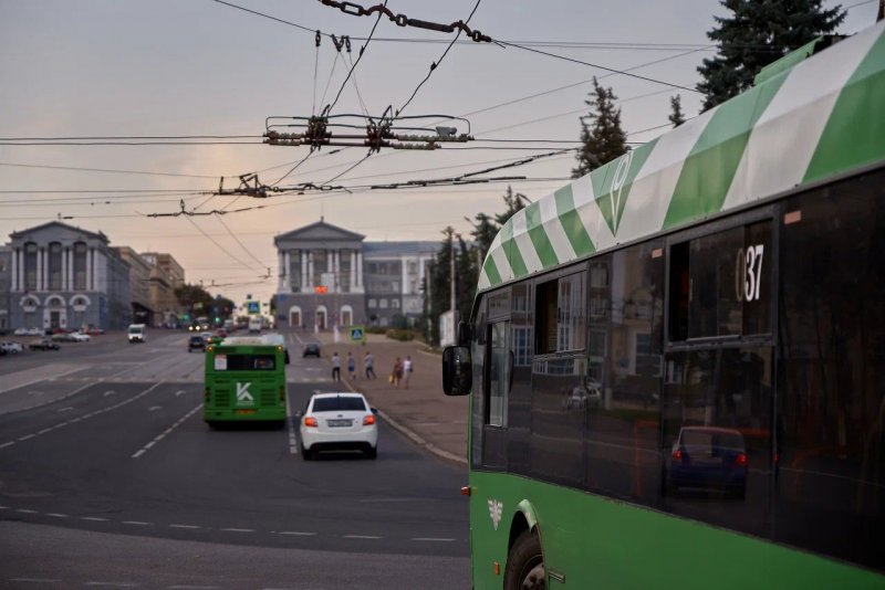 Гринбир в курске фото