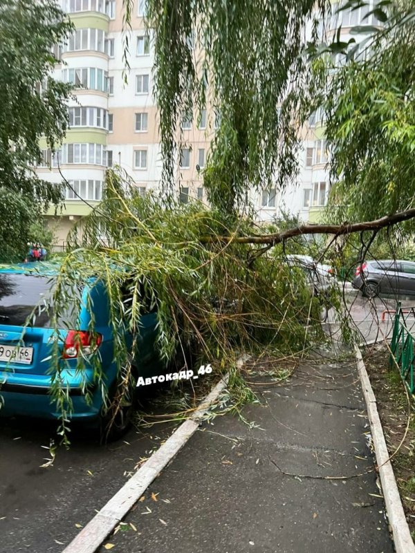 Распечатать фото в курске на клыкова