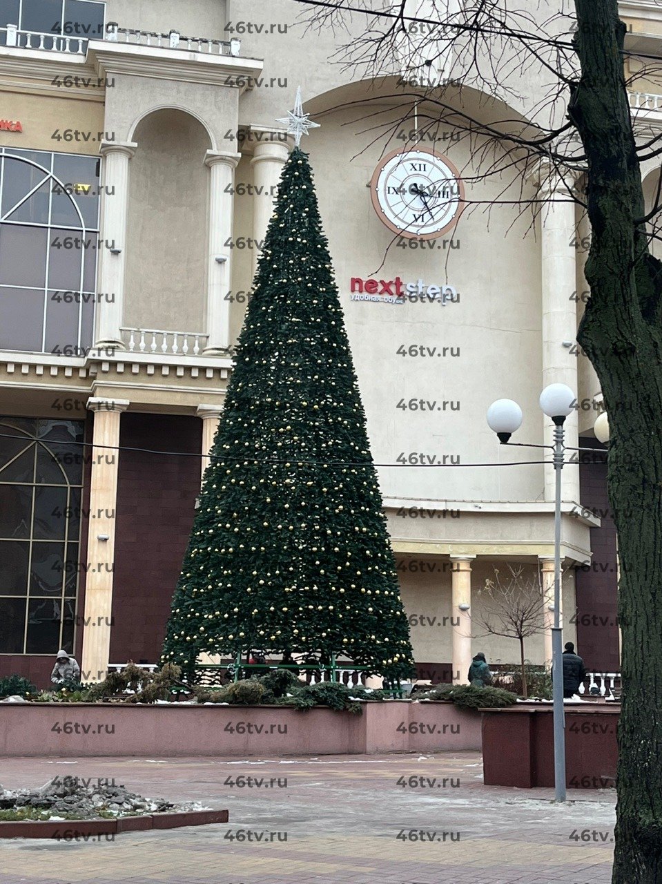 Ели курск. Елка около Пушкинского Курск. Елка вблизи. Елка на Пушкинской. Новогодний Курск.