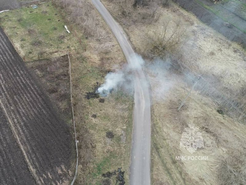 Травы курской области фото и название