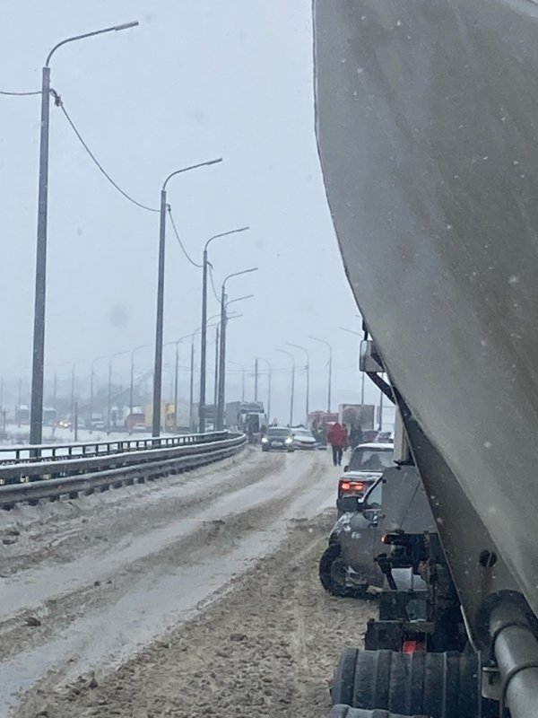 Пилорама последний выпуск