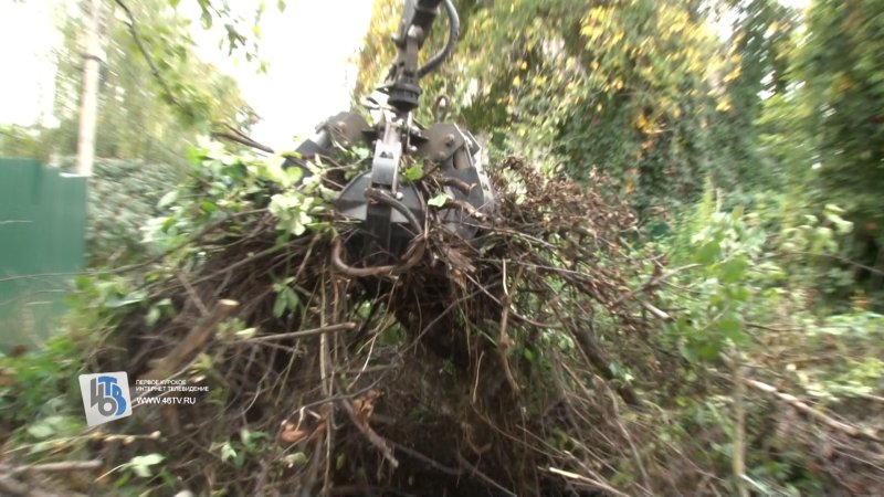 В центре Курска убрали многолетнюю несанкционированную свалку