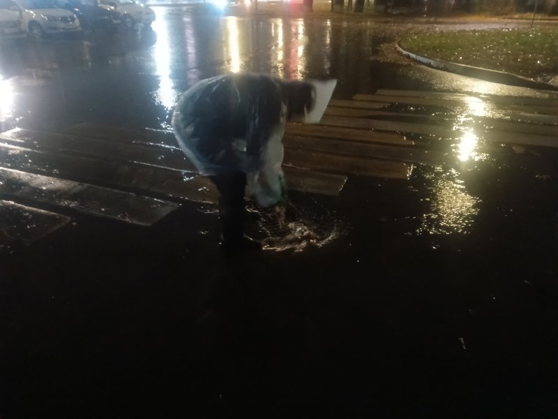 Их рук дело: жители Курска в борьбе с потопами сами чистят ливнёвки