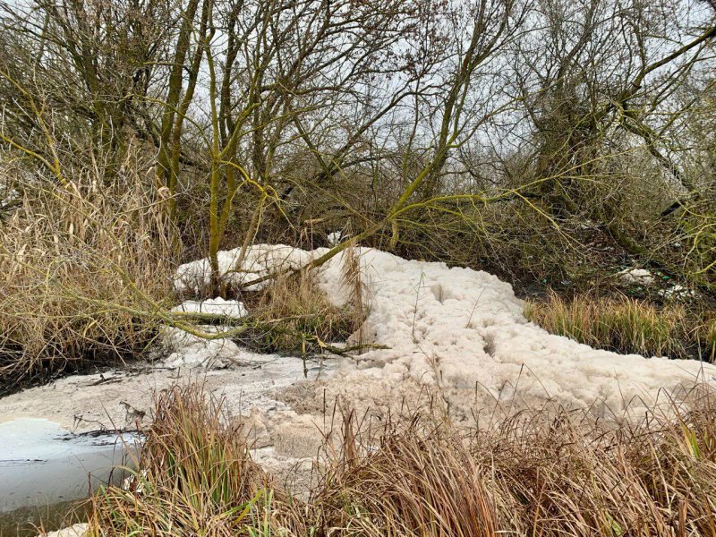 Пена в курской реке Апока: в сбросе стоков винят Льговский сахзавод