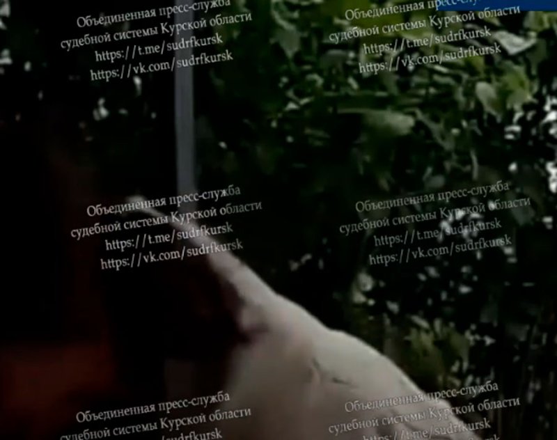 Суд вынес решение по резонансному делу об избиении ребенка в Курске