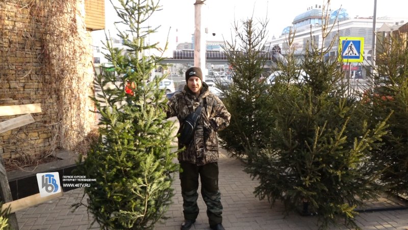 От 2 тысяч и выше: в Курске 4 дня работают ёлочные базары