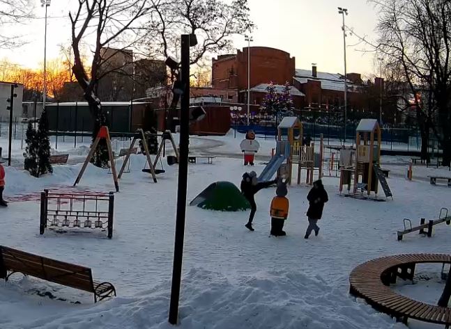 В Курске в Парке пионеров сняли на видео, как зайцу оторвали уши