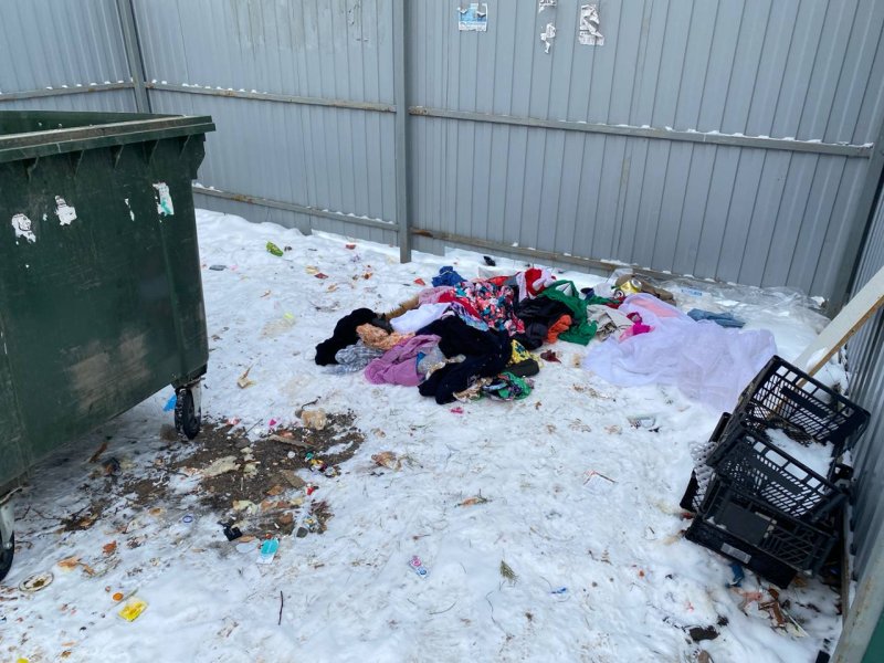 Вывоз мусора по-курски: у семи нянек дитя без глаза