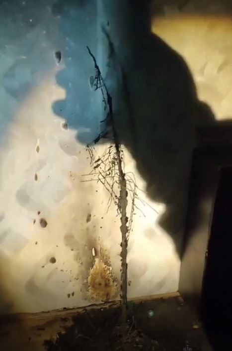 В Курске в квартире на Клыкова сгорела новогодняя ёлка