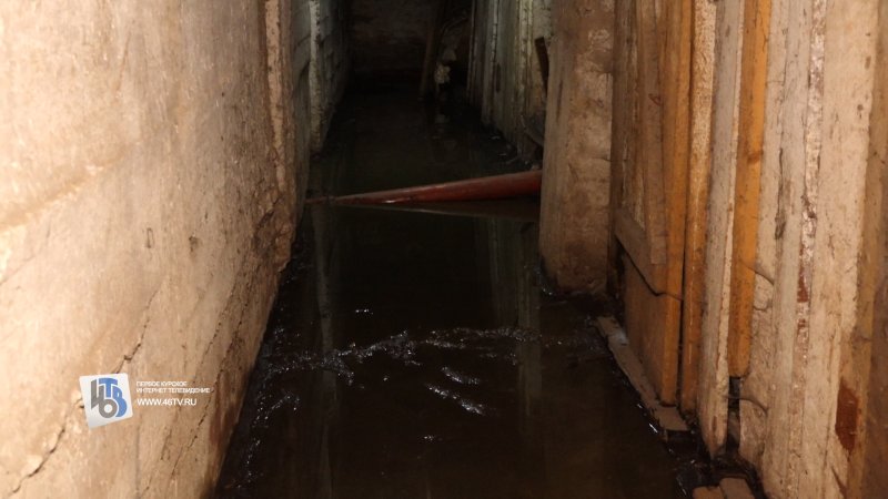 Дом с душком: в Курске в доме 138А на Энгельса годами течет канализация