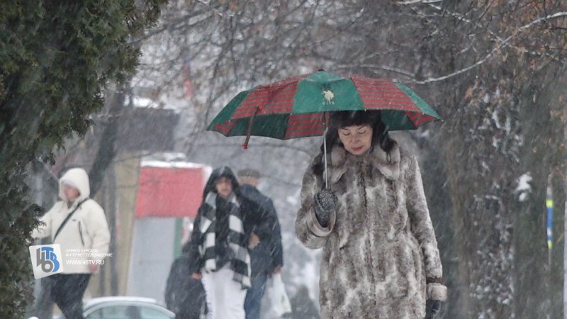 Прогноз погоды в Курске: 3 дня оттепели, дожди и новый виток морозов