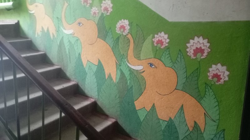 Курянка Ольга Зеленкова украсила подъезд 5-этажки тропическими пейзажами
