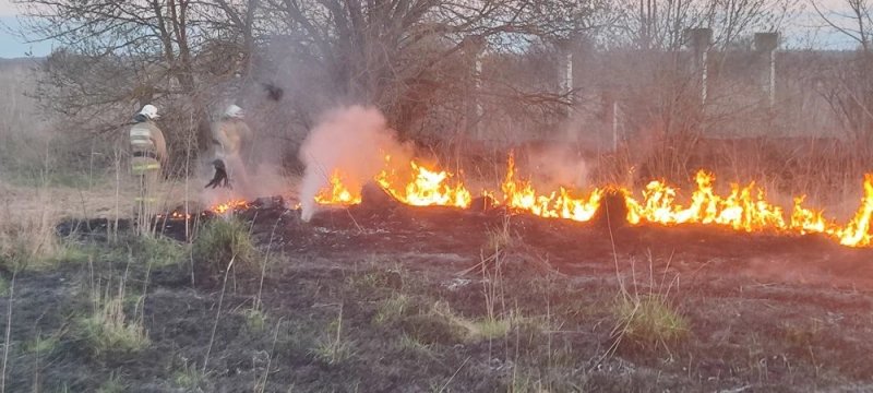 В выходные в Курской области полыхали сухая трава и деревья