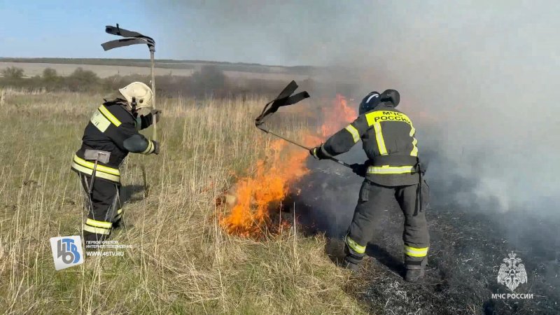 Пожары окружают Курск: сухая трава горит гектарами