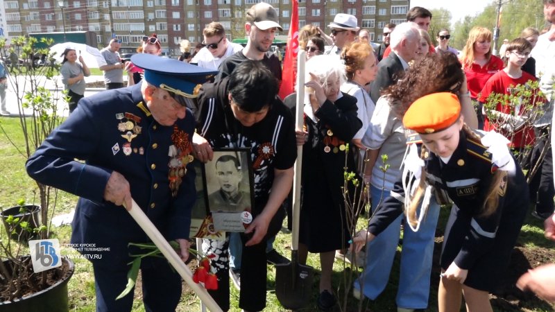 В Курске высадили 90 кустов Сирени Победы