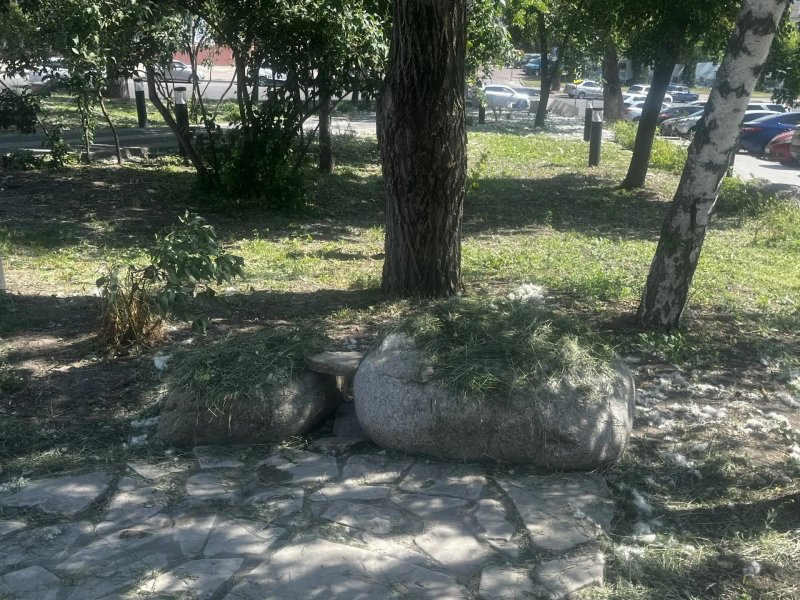 Покос травы по-курски: горы сена в скверах и бурьян на клумбах
