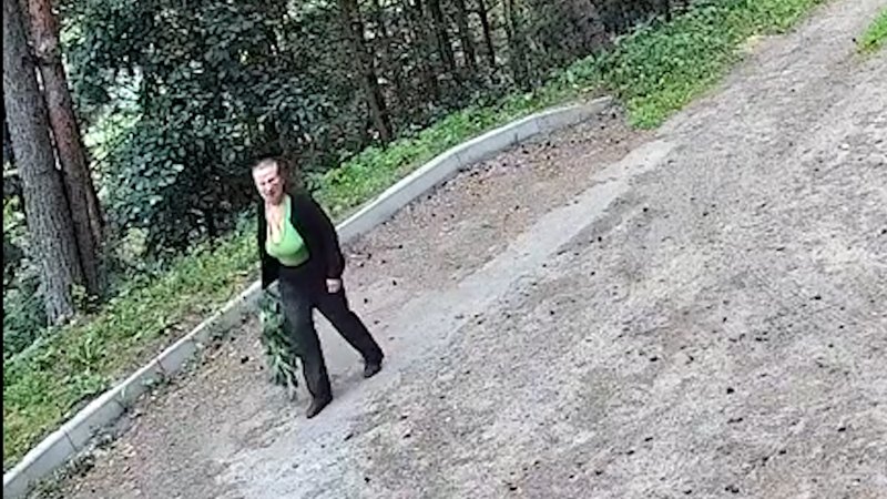 Пропавшая пенсионерка Раиса Ильина ушла в лес под Курском