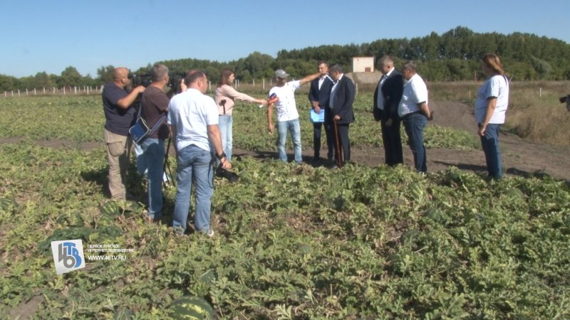 Где растет арбуз: Хинштейн познакомился с курской бахчой