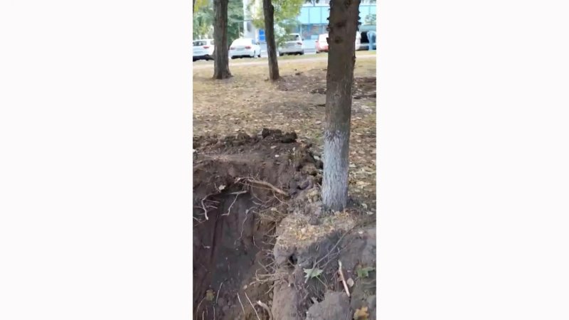 В Курске назвали вандализмом благоустройство сквера у филармонии